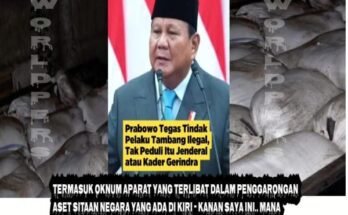 TNI