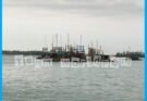 Kolektor Dayat Diduga Aktor dan Kuasai Pasir Timah dari Tiga Titik Lokasi di Perairan Romodong